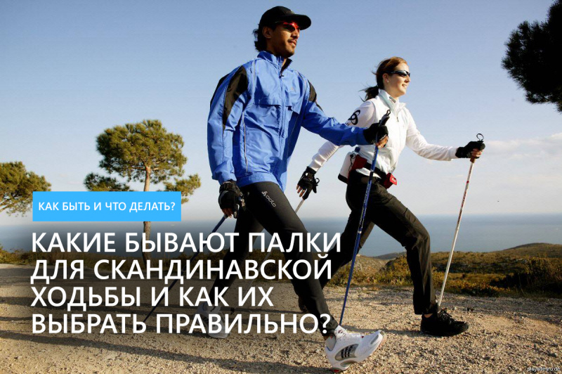 Какие бывают палки для скандинавской ходьбы и как их выбрать правильно? Какие бывают палки для скандинавской ходьбы и как их выбрать правильно?