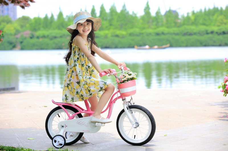 Обзор детского велосипеда Royal Baby Little Swan