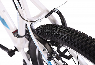 Велосипед Dewolf Ridly 10 - фото