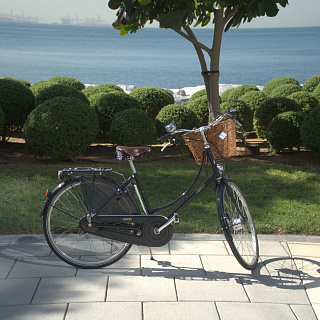 Велосипед Pashley Princess Sovereign 5 26 - фото