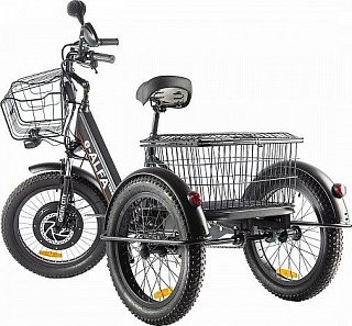 Трицикл Green City e-Alfa Trike (2024) - фото