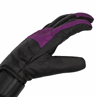 Перчатки горнолыжные White Owl Pro Gloves Wmns, женские - фото