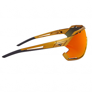 Мультиспортивные очки NORTHUG GOLD PERFORMANCE GOLD Standard - фото