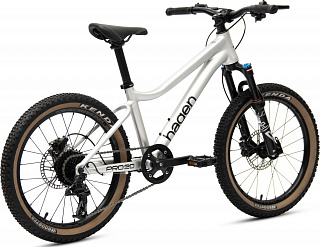 Велосипед Hagen Teen Pro 20 AIR (2024) - фото