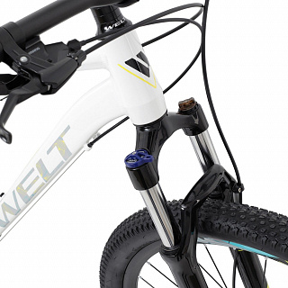 Велосипед Welt Edelweiss 1.0 D 27 (2024) - фото