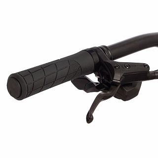 Велосипед Stinger Python Evo 29" (2024) - фото