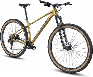 Велосипед Hagen 3.8 29 (2025) - фото